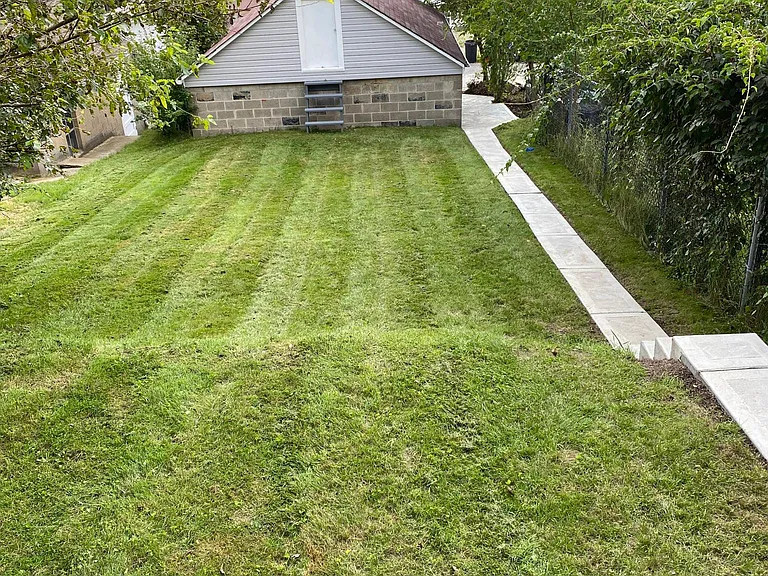 539 Forest Ave — Photo 31