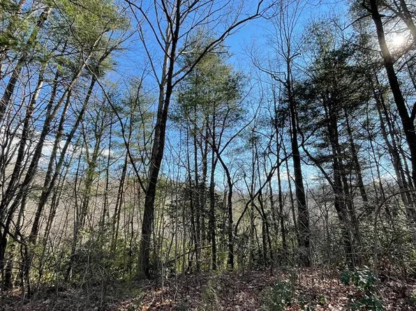 42 Granite Drive Fires Crk, Hayesville, NC 28904