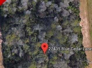 27435 Blue Cedar Ln, Spring, TX 77386