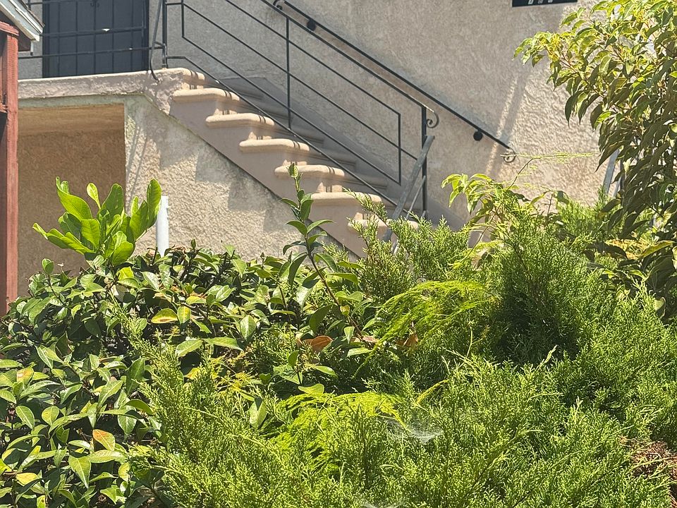 Outside view of upper apartment away from street