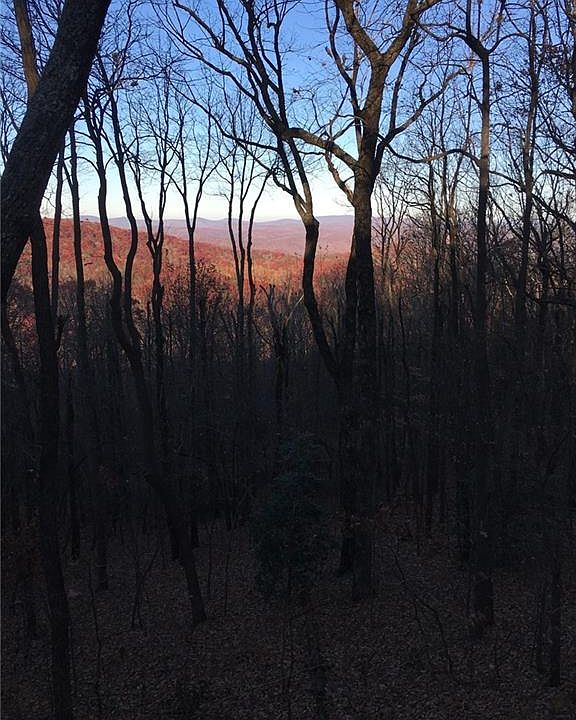 2nd image of 115 Upper Sassafras Pkwy Lot 115