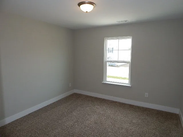 401 Bee Cove Way — Photo 14