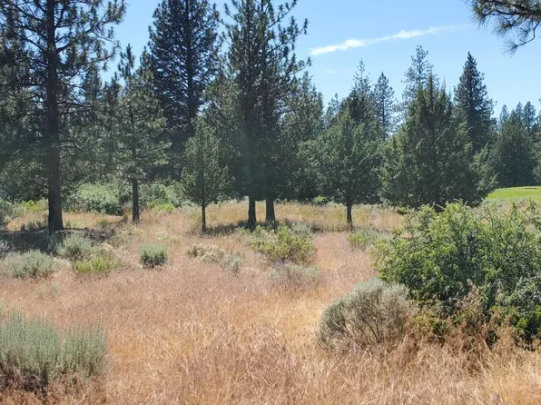 205 Douglas Ct #5-3, Weed, CA 96094