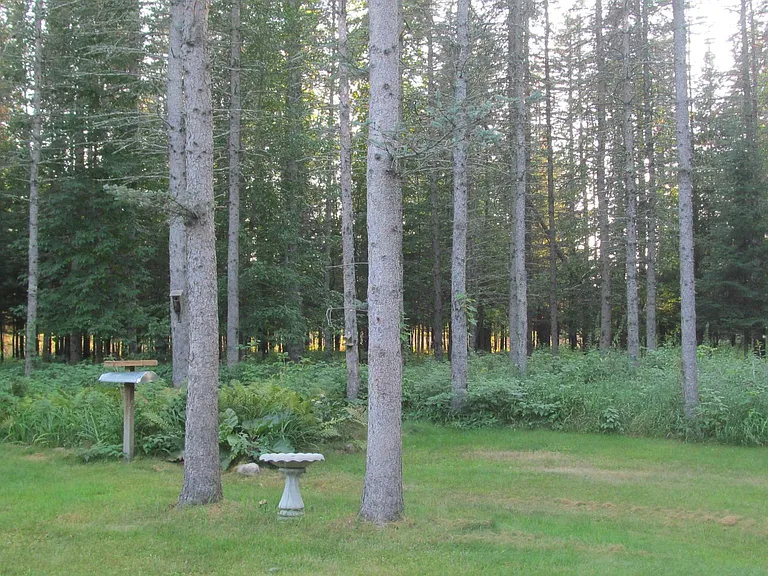 View to the West and Fern Garden