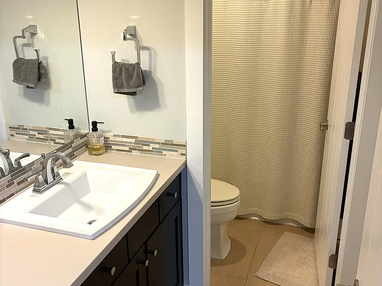 Basement Guest Bathroom