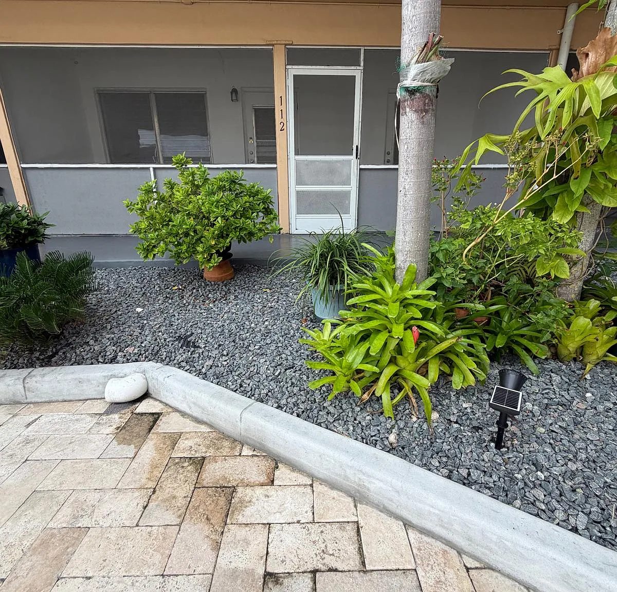 1 bed, 668 sqft, $1,600 — Photo 4