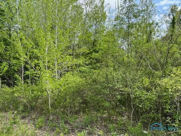 9957 Angola Rd, Swanton, OH 43558