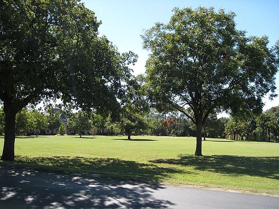 View From Front Yard