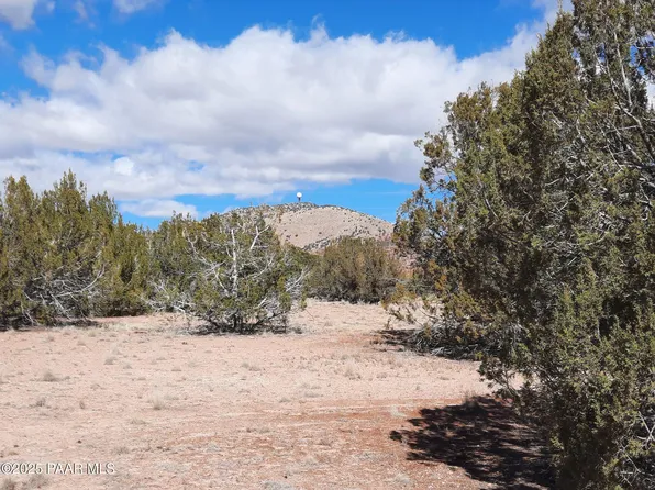 27175 W Granada Rd, Seligman, AZ 86337