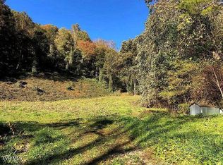 171 Dolan Hollow Rd, Roan Mountain, TN 37687