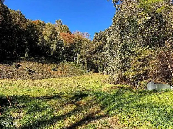 171 Dolan Hollow Rd, Roan Mountain, TN 37687