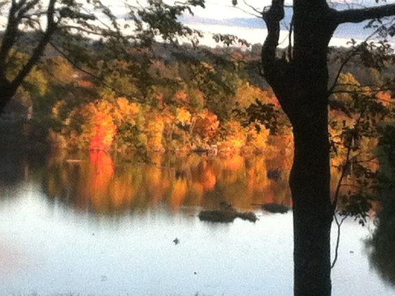 5th image of 472 Lake Dr