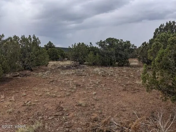 LOT-97F N 8187th, Concho, AZ 85924