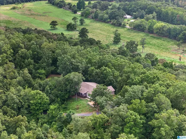 507 Copperhead Rd, Jacksonville, AL 36265