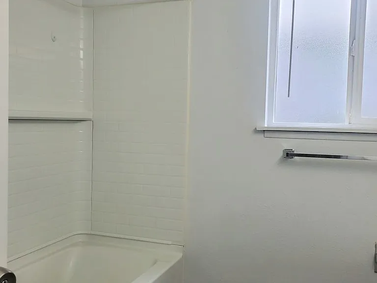 Zou - UP 4plex University Place 98466 — Photo 11
