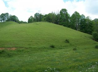 0 Fred Wallace Rd, Trade, TN 37691