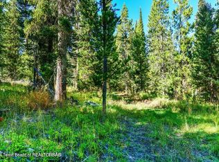 6050 N West St, Wilson, WY 83014