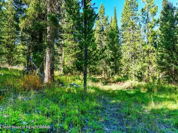 6050 N West St, Wilson, WY 83014