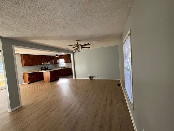 From the front door through the living room into the kitchen