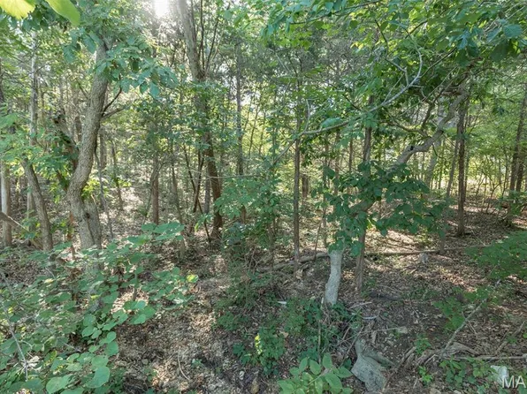 10449 Lake Crest Dr, Hillsboro, MO 63050