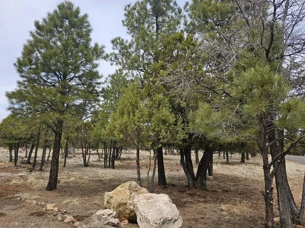 2554 Arapaho Dr, Happy Jack, AZ 86024