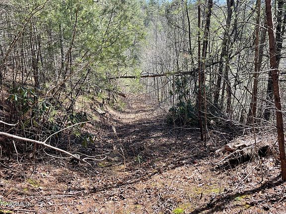 5th image of 0 Faith Mountain Way Lot 4