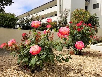 500 Glenwood Cir APT 322, Monterey, CA, 93940