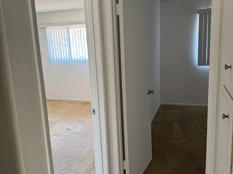 3734 S Marine St #3 — Photo 10