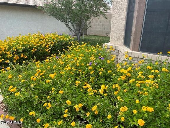 4th image of 4109 E Alta Mesa Avenue