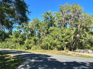 9319 S Florida Ave, Floral City, FL 34436