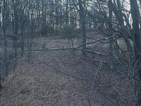 4th image of Lost Run Rd