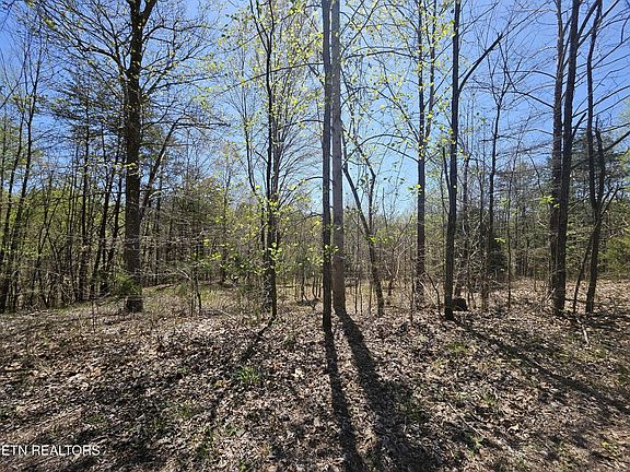 2nd image of 170 Bluff View Rd Lot 282