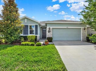 11934 Cross Vine Dr, Riverview, FL 33579