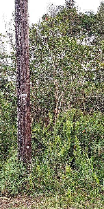 2nd image of Aloha Dr Lot 83