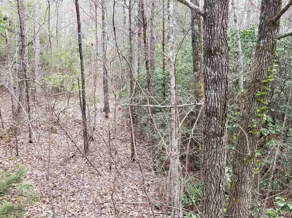 6 Sara Ln, Sautee Nacoochee, GA 30571