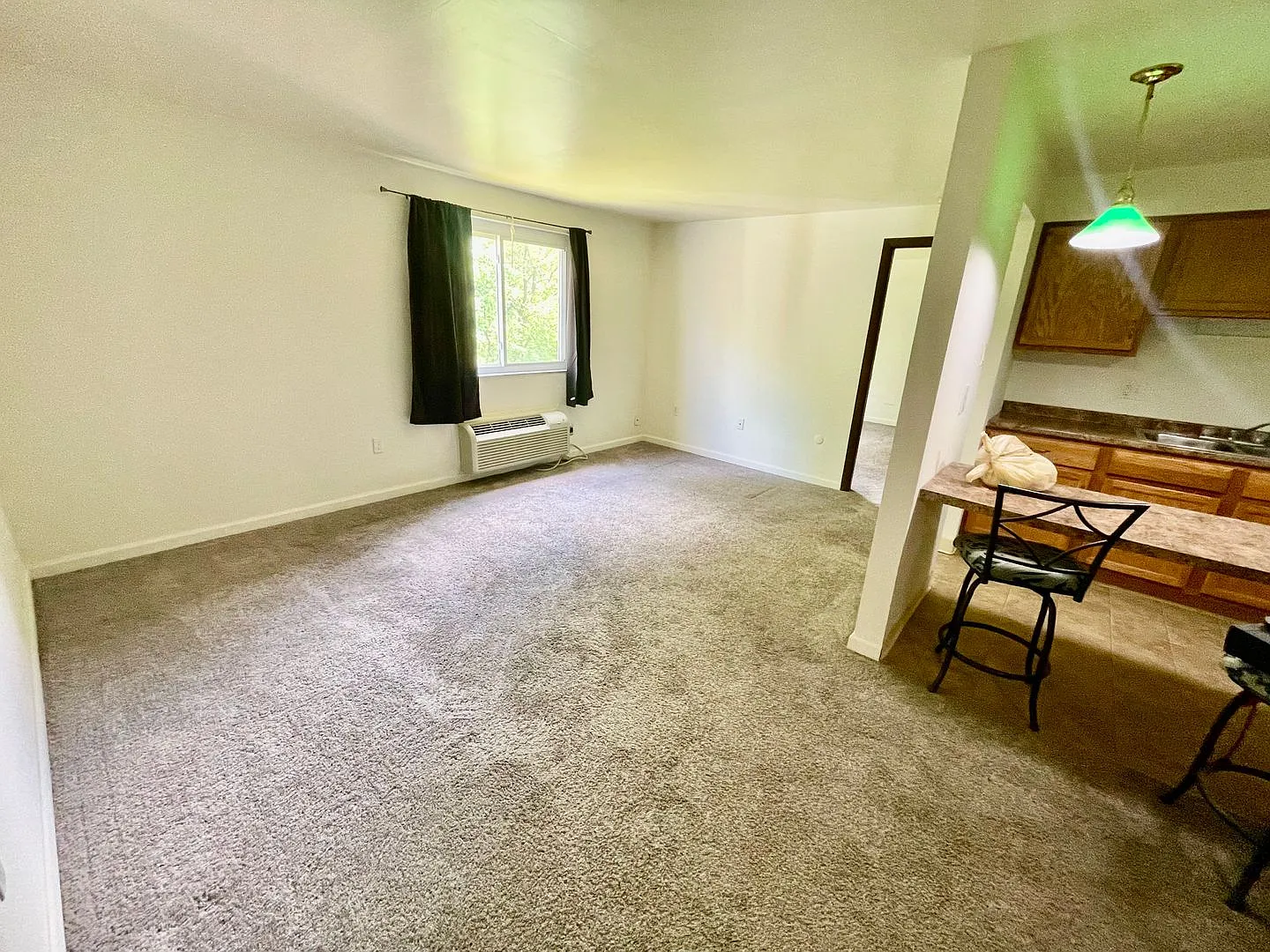 946 Carle Street — Photo 3