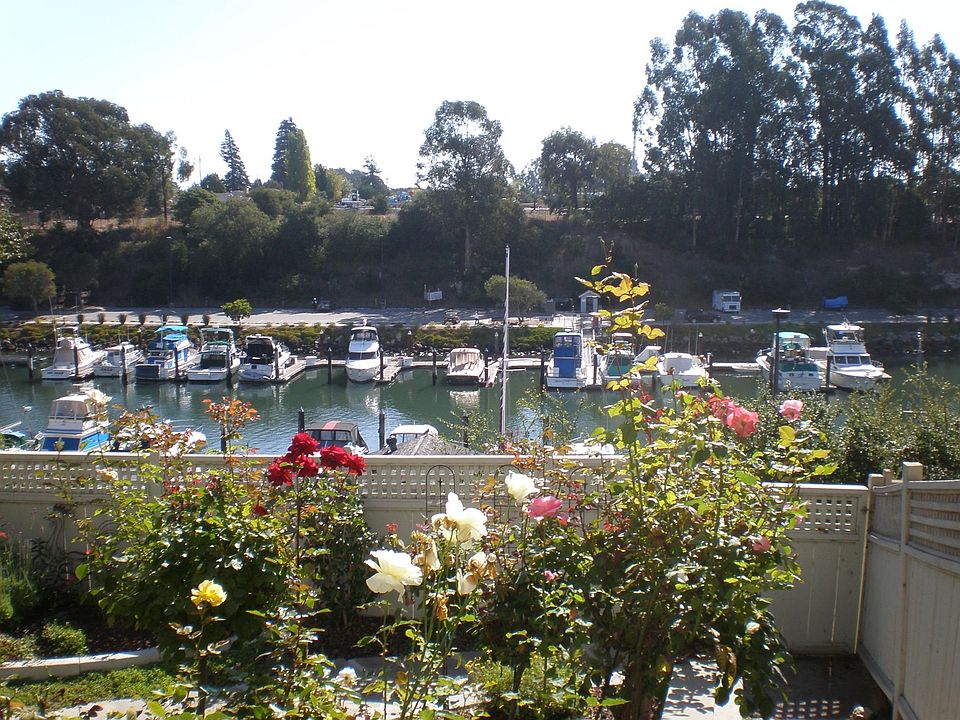 Rose garden