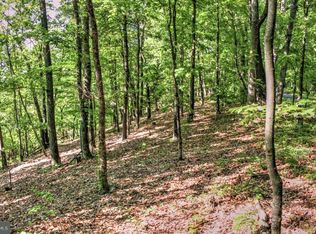 Supinlick Ridge Rd, Mount Jackson, VA 22842