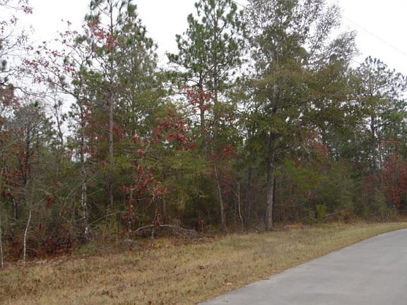 2nd image of Oakwood Lakes Blvd Lot 72