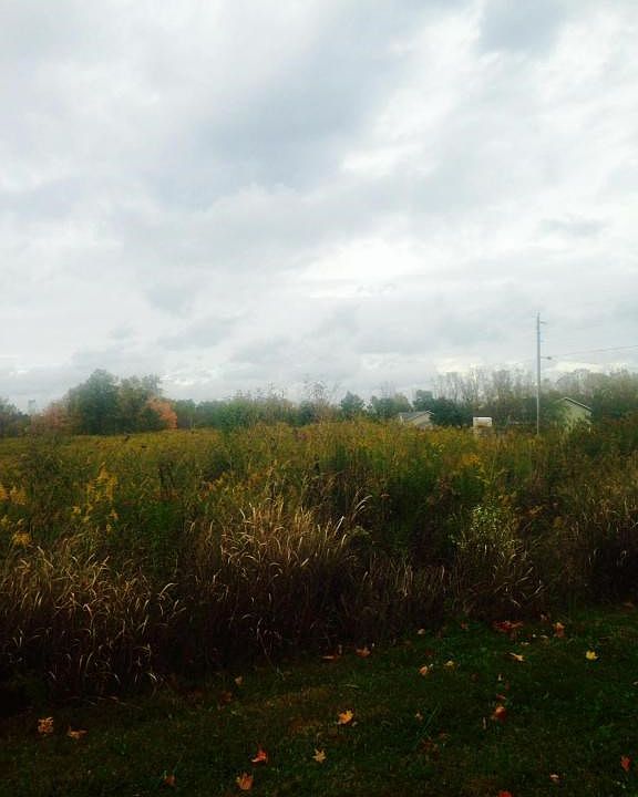 2nd image of 9466 Stults Farm Dr