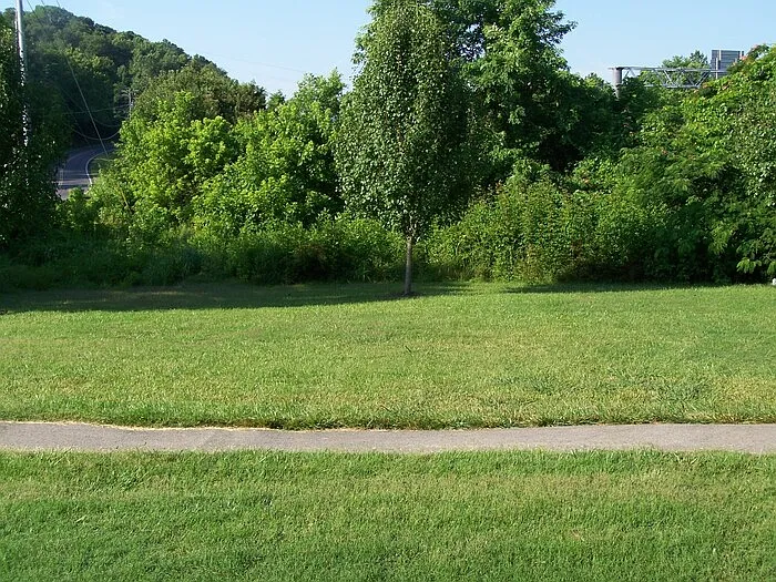7201 Long Shot Ln — Photo 3