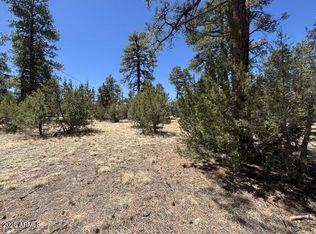 Between 2901 & 2905 Pine Rd #RIM-154B, Overgaard, AZ 85933