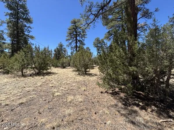 TBD Between 2901 & 2905 Pine Rim Road #154B, Overgaard, AZ 85933