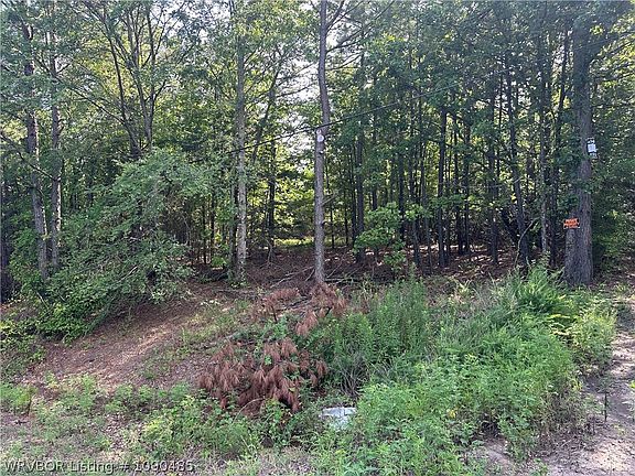 2nd image of Walker Mountain Rd