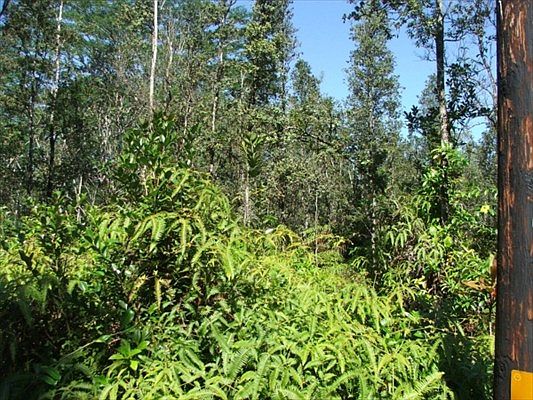 2nd image of Waimea Rd Lot 438