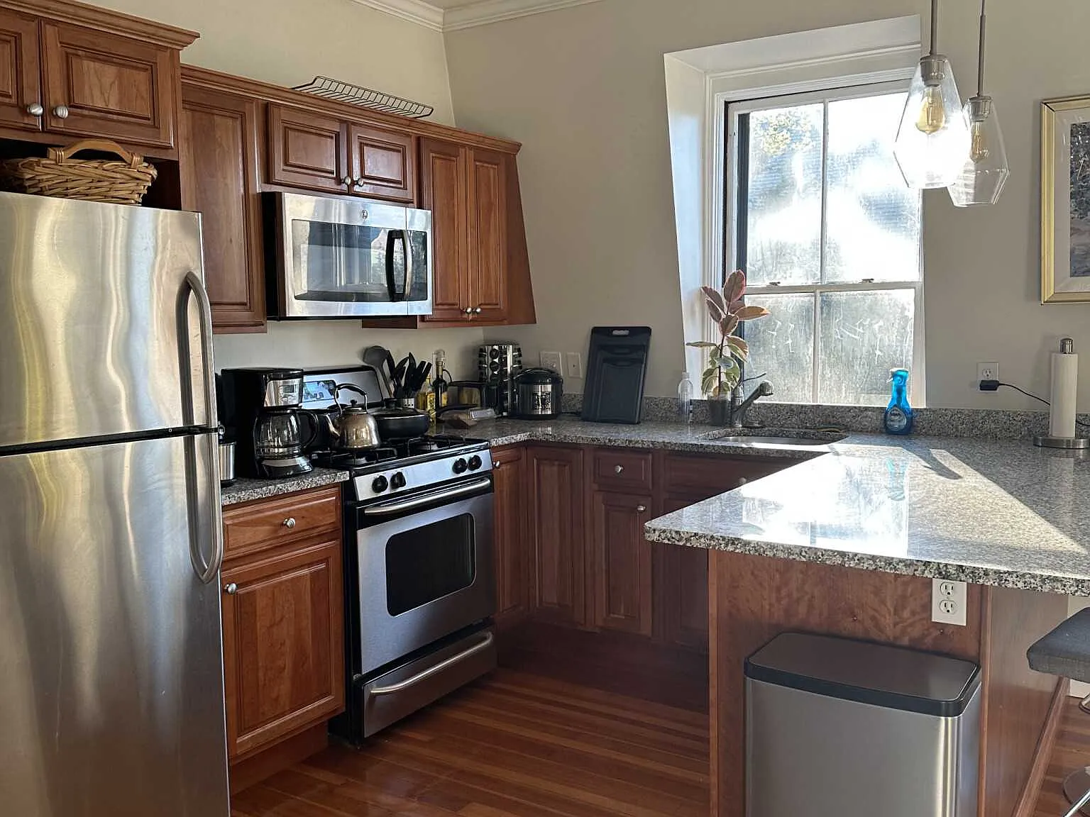 1 bed, $3,000 — Photo 4