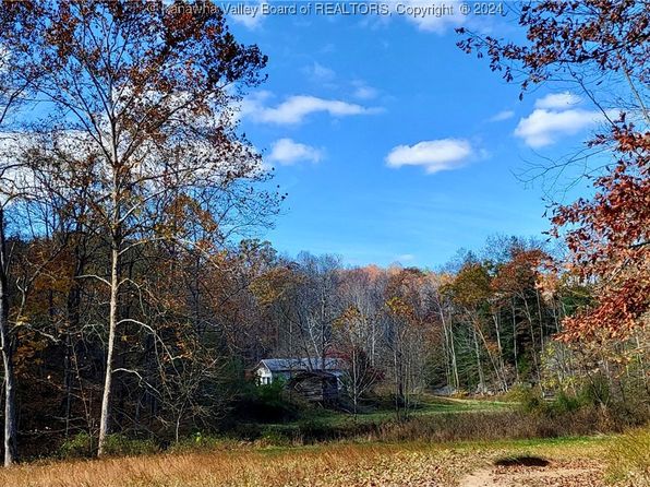 9105 Cain Ridge Rd, Leon, WV 25123