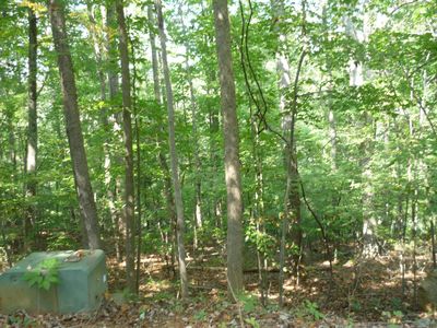 93 Lakeshore Terrace Rd, Hardy, VA, 24101