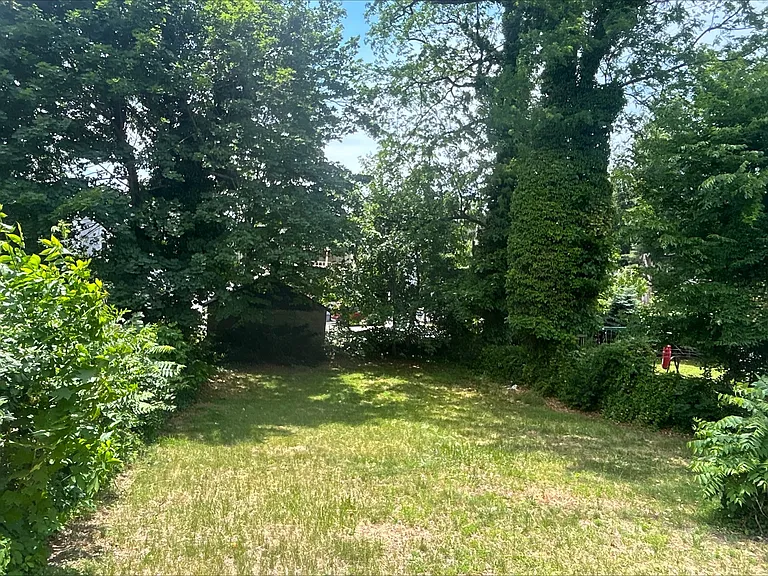 Large Backyard
