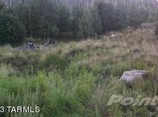 Tbd Carter Canyon Rd #4, Mt. Lemmon, AZ 85619